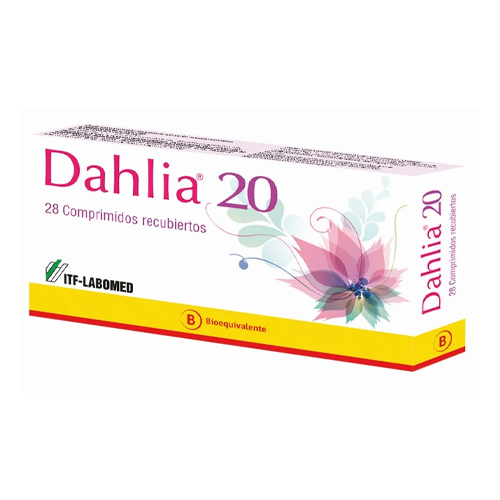 Dahlia 20