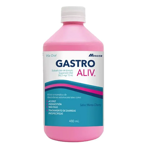 Gastro 480 ml