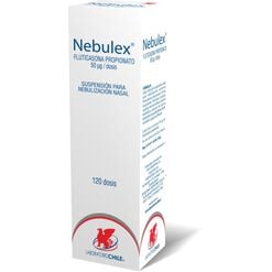 Nebulex 50 mcg