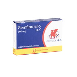 GEMFIBROZILO COMPRIMIDOS RECUBIERTOS 300 mg