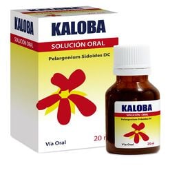 Kaloba 0,8 g