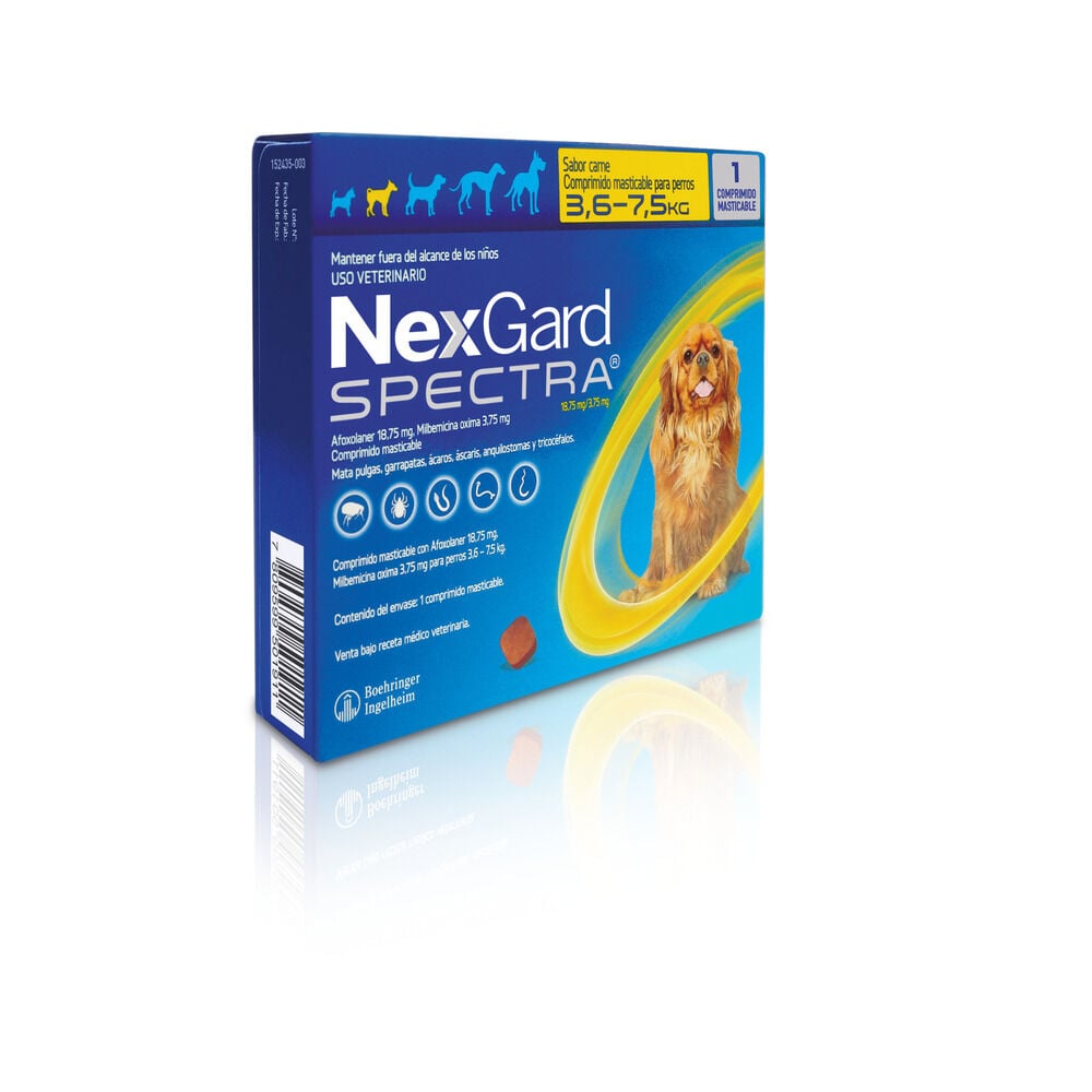 TELGARD COMPRIMIDOS 40 mg