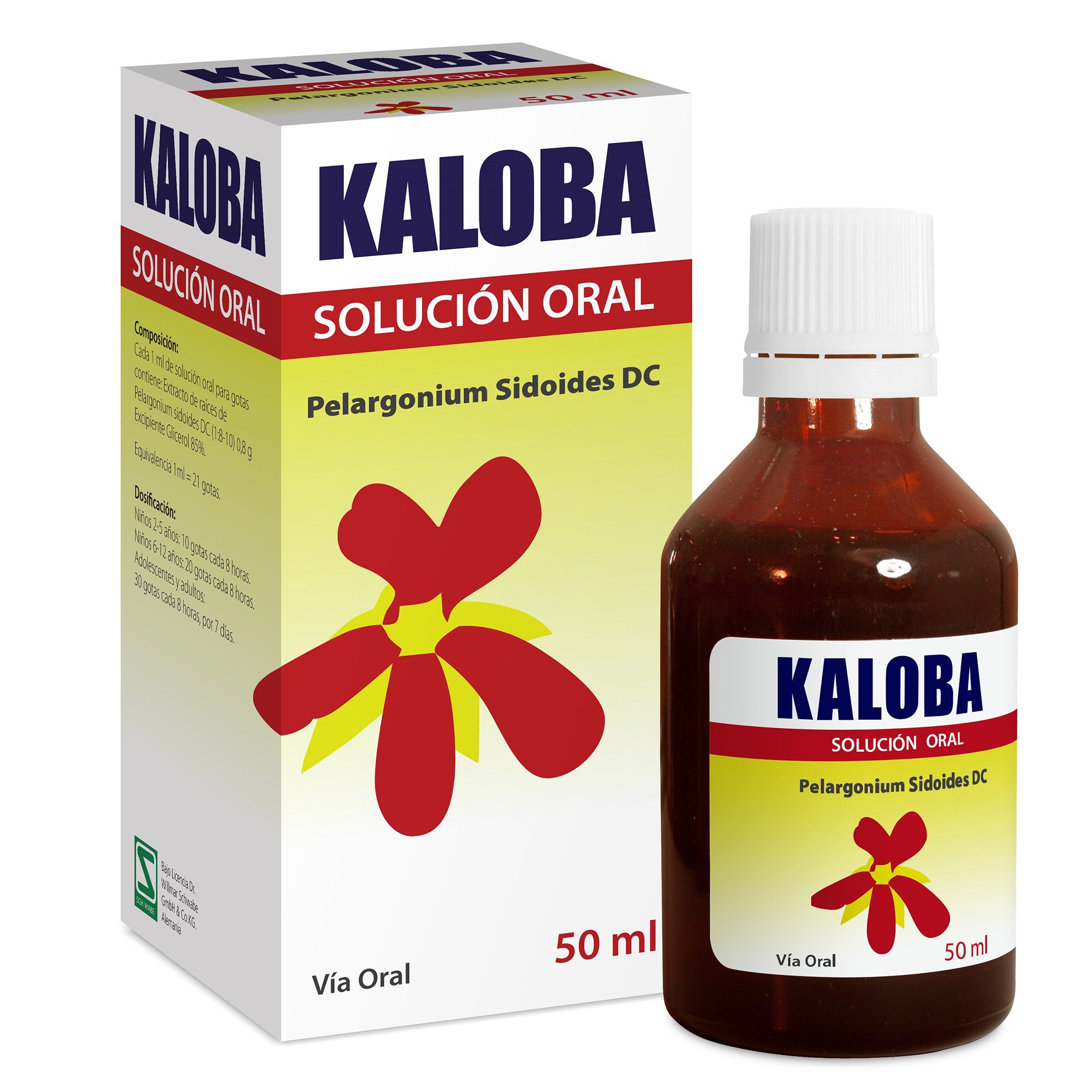 GINKGO BILOBA CÁPSULAS BLANDAS 80 mg