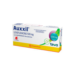 AUXXIL COMPRIMIDOS RECUBIERTOS 500 mg
