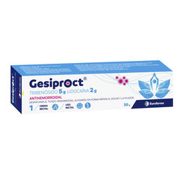 GESIPROCT CREMA RECTAL