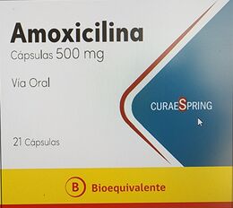 AMOXICILINA CÁPSULAS 500 mg