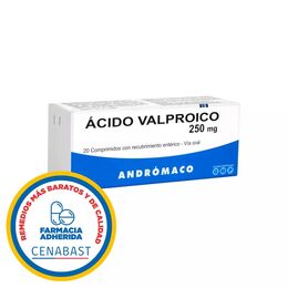 ÁCIDO VALPROICO COMPRIMIDOS CON RECUBRIMIENTO ENTÉRICO 250 mg