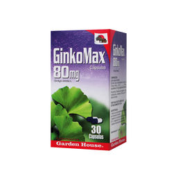 Ginkgo Max 80mg