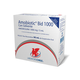 AMOBIOTIC BID 1000 POLVO PARA SUSPENSIÓN ORAL 1000 mg/5 mL CON SOLVENTE