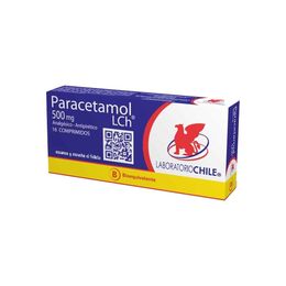 PARACETAMOL COMPRIMIDOS 500 mg